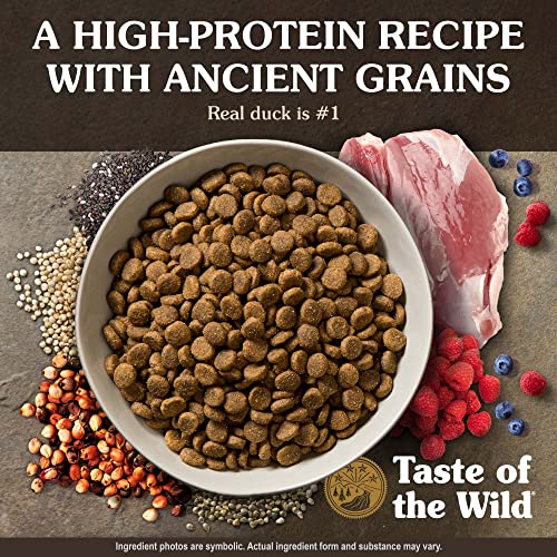  Taste Of The Wild Ancient Wetlands Canine Recipe With Roasted Fowl And Ancient Grains 28lb