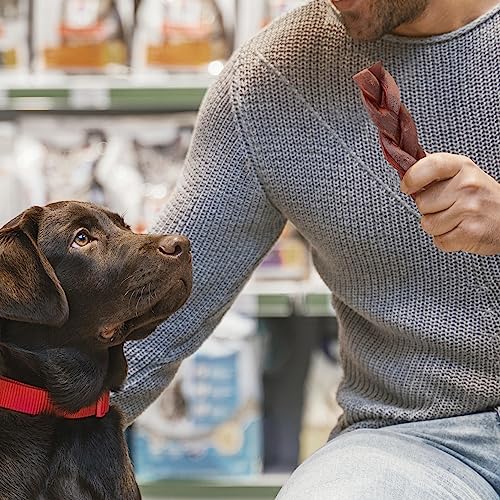  Jack&Pup 6" Braided Beef Collagen Sticks For Dogs - Rawhide Free Dog Chews Long Lasting Collagen Chews For Dogs - Bully Sticks Alternative (8 Pack)