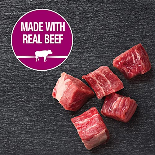  CESAR Adult Soft Wet Dog Food Steak Lovers Variety Pack With Real Meat, (36) 3.5 Oz. Trays