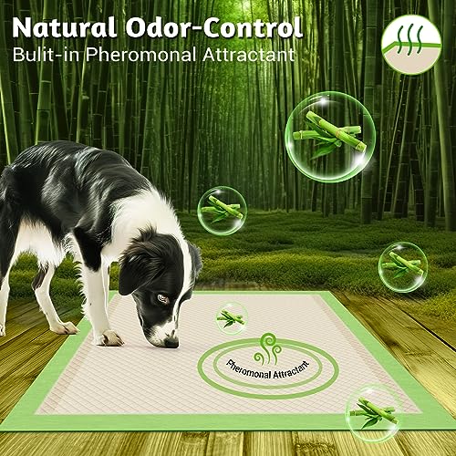  MIZOK Bamboo Dog Pads Odor Eliminating 36x36in XXXL Dog Training Pads, 11 Cups Super Absorbent Leak-Proof Dog Pee Pads With Adhesive Tabs, Disposable Green Color (30 Counts)