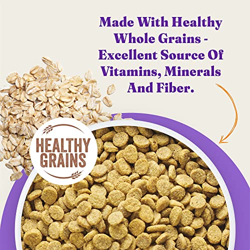  Halo® Holistic Adult Dog Healthy Grains Wild-Caught Salmon & Whitefish Recipe 3.5 Lb