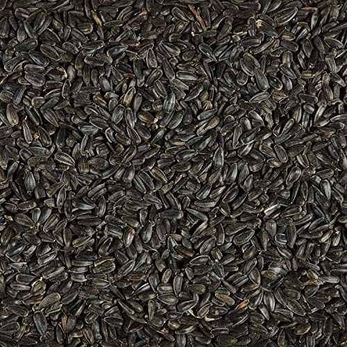  Kaytee Wild Bird Black Oil Sunflower Food, 5 Pounds