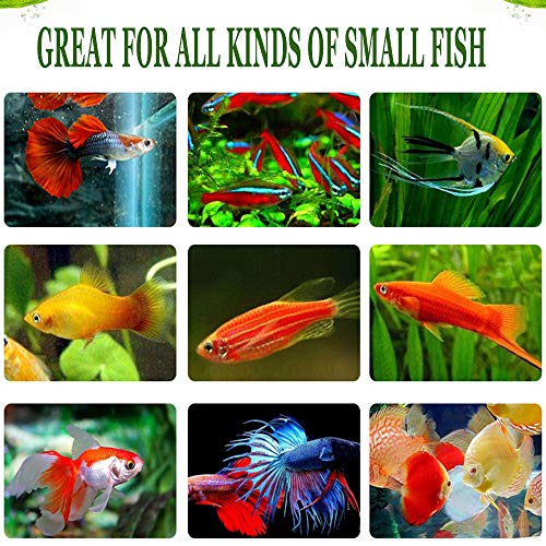  BNYEE 1.5 OZ Freeze Dried Bloodworms For Most Small To Medium Sized Fish（Larvae）