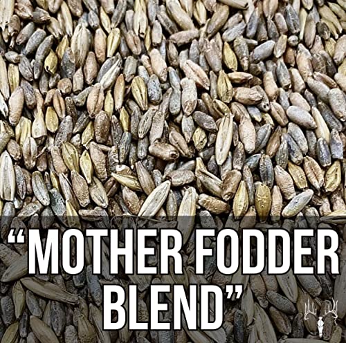  Crooked Bend Mother Fodder Blend, 8LB EcoPack, Grain Seeds For Bird Food & Growing Fresh Green Grass Sprouts To Feed Pet Rabbits, Cows, Horse, Chicken, Goat, Sheep, Quail, Dog, Cat, Duck & Tortoise