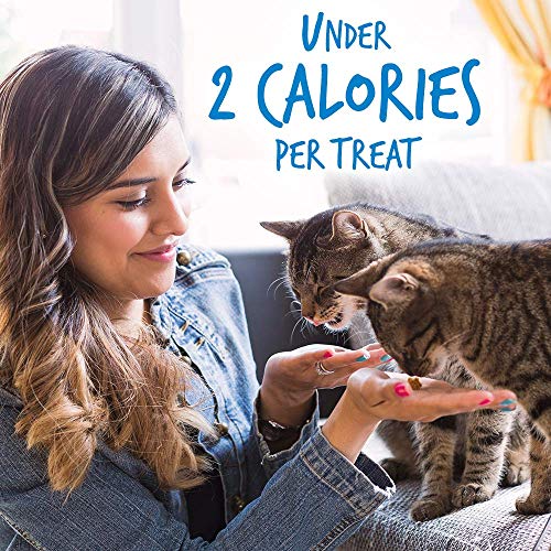  Fruitables Cat Treats – Crunchy Treats For Cats – Healthy Low Calorie Treats Packed With Protein – Free Of Wheat, Corn And Soy – Made With Real Chicken With Blueberry – 30 Ounces