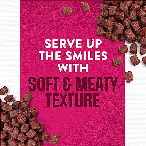  Purina Moist And Meaty Steak Flavor Soft Dog Food Pouches - 36 Ct. Pouch