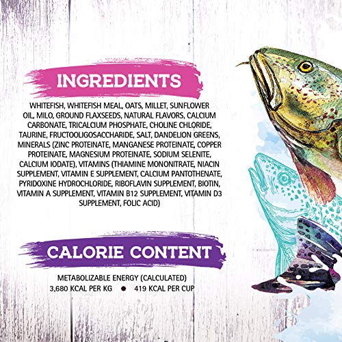  Inception® Dry Cat Food Fish Recipe – Complete And Balanced Cat Food – Meat First Legume Free Dry Cat Food – 13.5 Lb. Bag