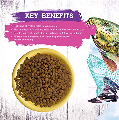  Inception® Dry Cat Food Fish Recipe – Complete And Balanced Cat Food – Meat First Legume Free Dry Cat Food – 13.5 Lb. Bag