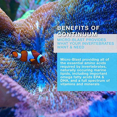  Continuum Aquatics Brightwell Aquatics Micro-Blast - Invertebrate Food For Live Corals, Feather Dusters, Gorgonians, And Other Fine Filter Feeders, 20 Liter