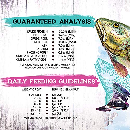  Inception® Dry Cat Food Fish Recipe – Complete And Balanced Cat Food – Meat First Legume Free Dry Cat Food – 13.5 Lb. Bag