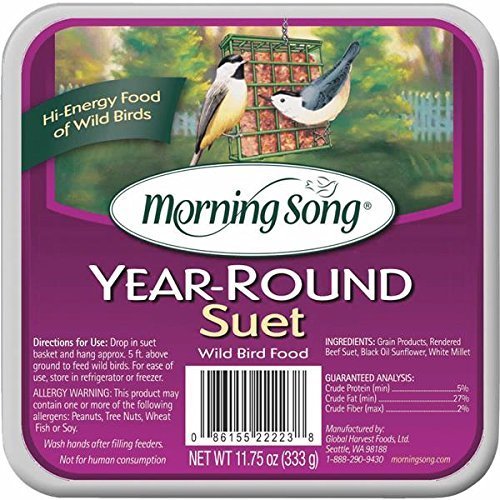  Morning Song Year-Round Suet