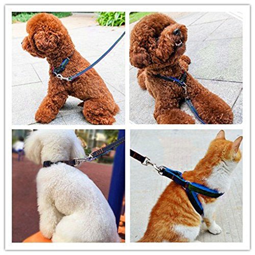 FakeFace Heavy Duty Denim Nylon No Pull Dog Leash Harness/Collar Set For Medium Large Dogs Of High Durability Adjustable, Perfect For Training Walking Dogs