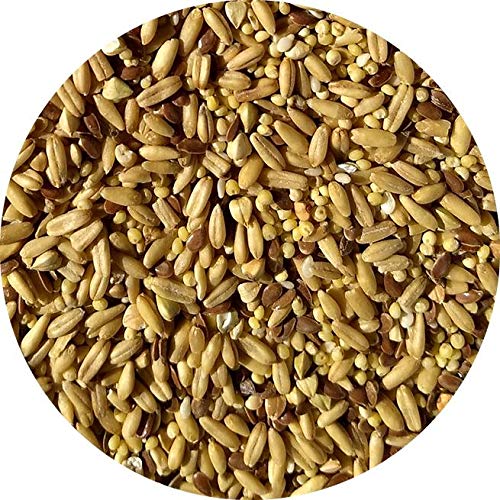  TOP's Napoleon's Seed Mix For All Small Hookbills, Non-GMO, Soy Free, Corn Free, USDA Organic Certified, 5 Lb