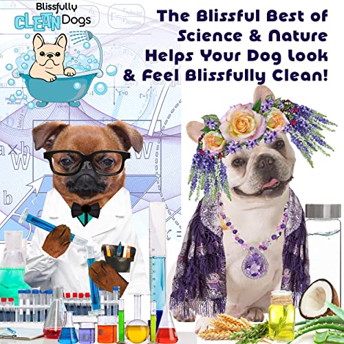  The Blissful Dog Razzle Dazzle White Pet Shampoo – Dog Shampoo For White/Light Colored Coat, 8 Oz
