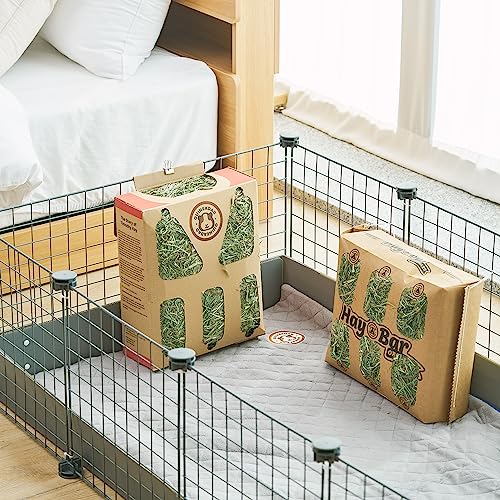  GuineaDad Timothy Hay Bar - Guinea Pig Food - 5 Pack - Pet Food For Rabbits, Small Animals, Hamster Food - Filtered & Hand Packed Guinea Pig Hay - Keeps Hay Secure And Encourages Active Eating