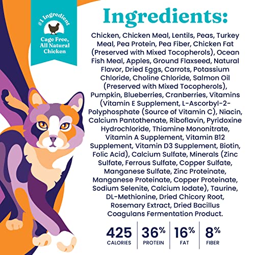  Solid Gold Indoor Dry Cat Food - Let's Stay In Cat Food Dry Kibble For Indoor Cats - Hairball & Sensitive Stomach - Grain & Gluten Free - Probiotics & Fiber For Digestive Health - Chicken - 6lb