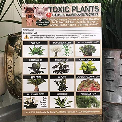  TLC Safety By Design Enhanced Toxic Plants Flowers TRADEMARKED Poison For Pets Dogs Cats Emergency Home Alone 5” X 7” Veterinarian Approved Refrigerator Safety Magnet (Qty. 1)