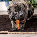  Pet Factory 100% Made In USA Beefhide 8" Rolls Dog Chew Treats - Beef & Chicken Flavor, 10 Count/1 Pack