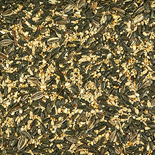  Kaytee Northeast Regional Wild Bird Blend, 7-Pound Bag