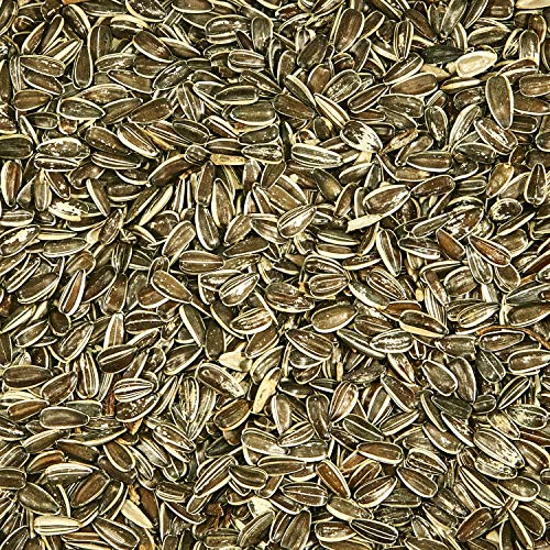  Kaytee Striped Sunflower Wild Bird Food 5 Pounds