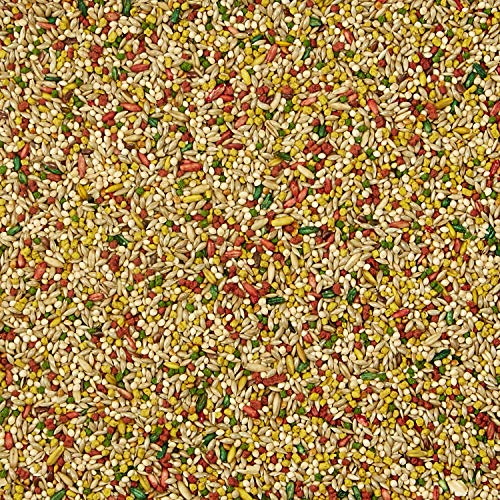  Kaytee Forti-Diet Egg-Cite Parakeet Pet Bird Food, 5 Pound